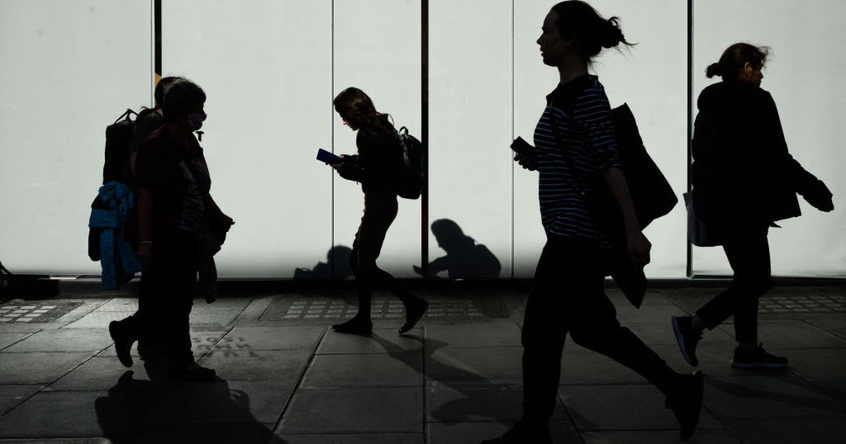 当脚手架被拆掉之后：展望AI时代的专业岗位