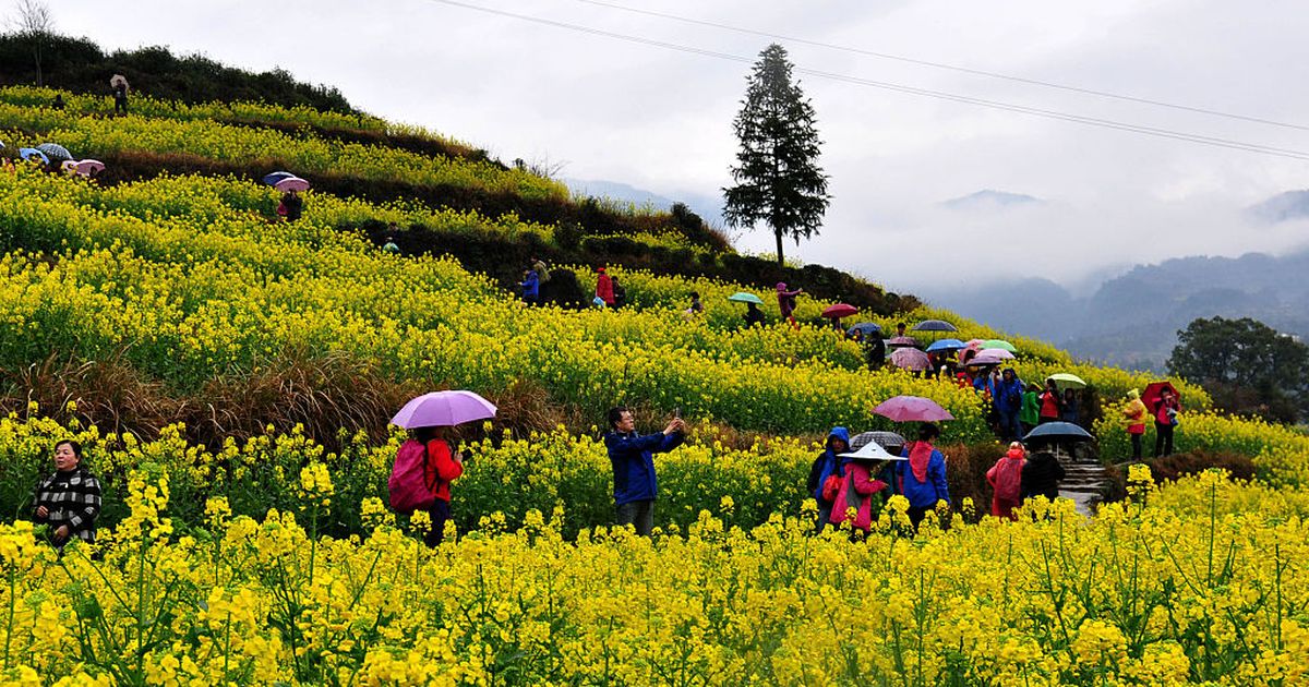 利差收窄压力升温 弱势地区银行首当其冲