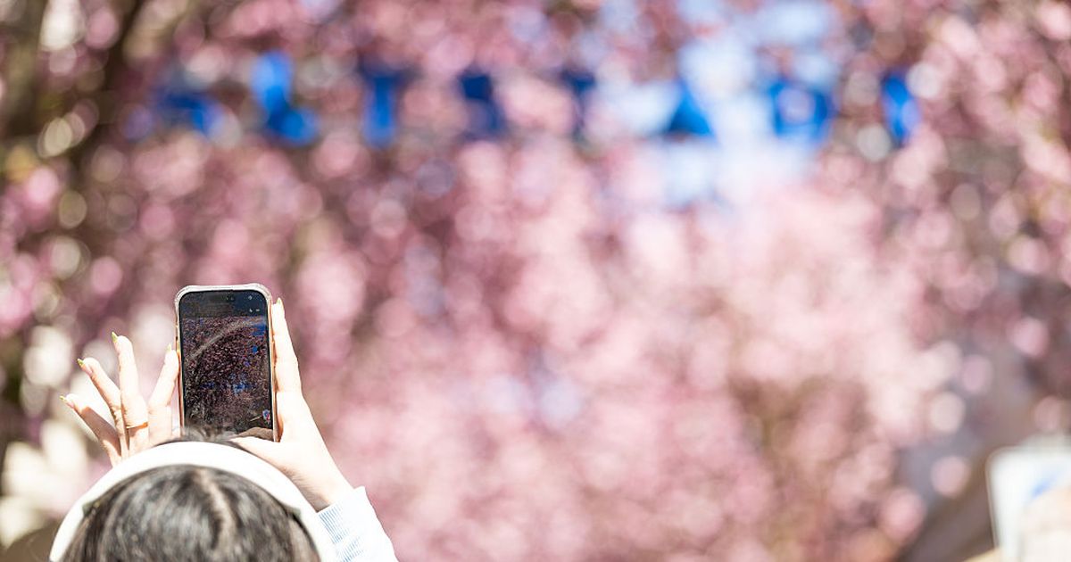 快乐是一种练习，让生活更加值得