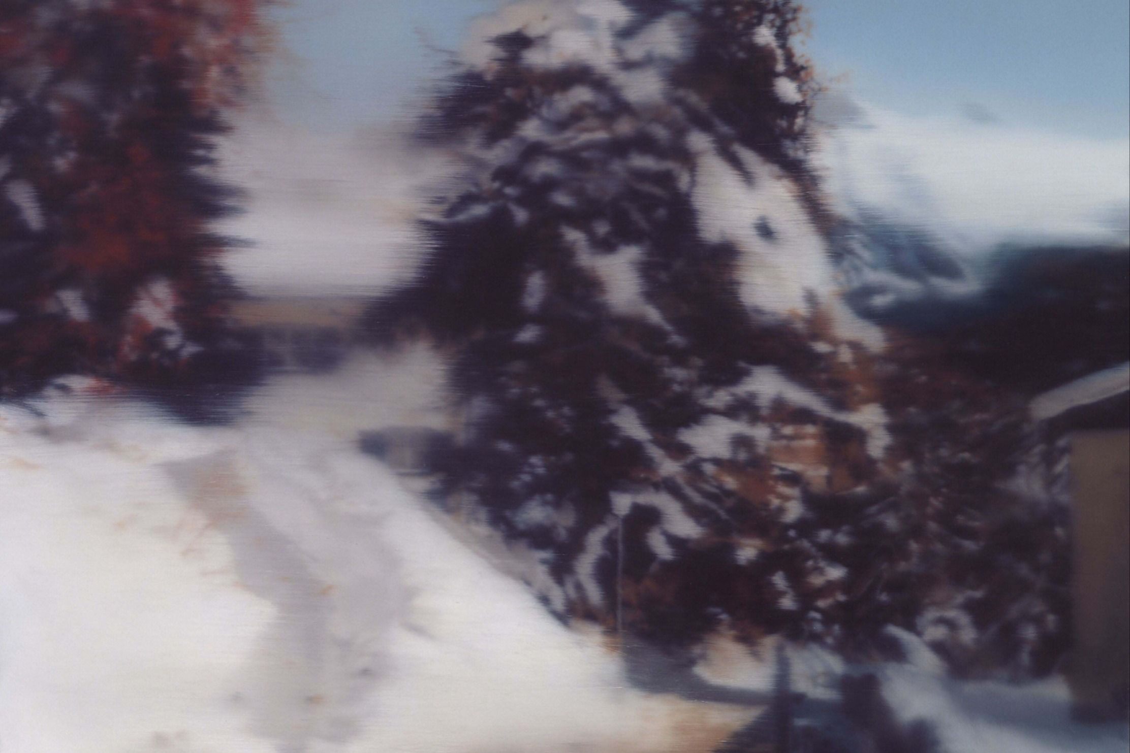 A blurred image of fir trees dusted with snow